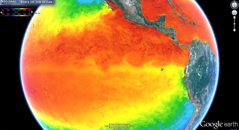 Global sea surface temperature