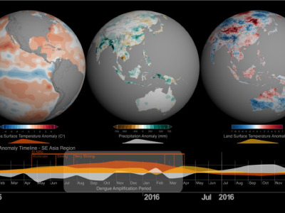 Multi-globe view of sea surface temperature