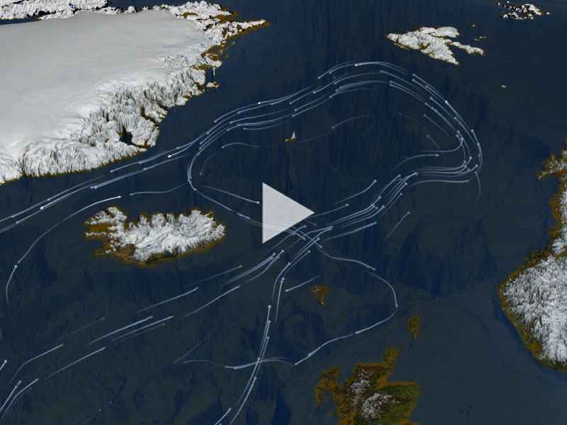 Video cover: thermohaline circulation using improved flow field