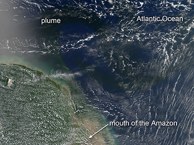 Algal blooms in a plume of nutrient-rich water pouring from the mouth of the Amazon River