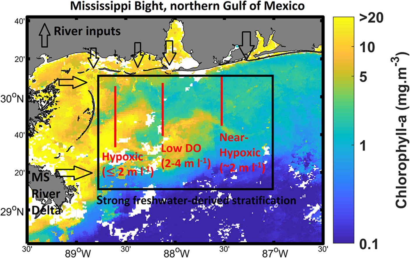 Hypoxia in the Mississippi Bight