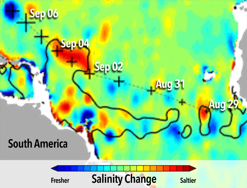 Difference in salinity after the hurricane passed over the plume