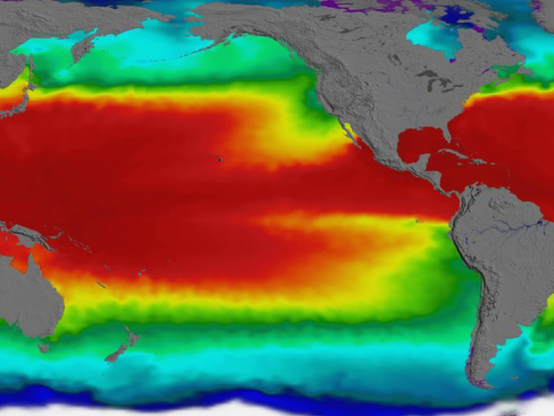 Global view of sea surface temperature
