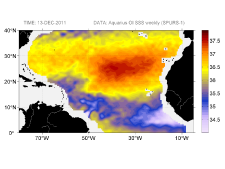 Sea surface salinity, December 13, 2011