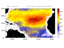 Sea surface salinity, January 11, 2012