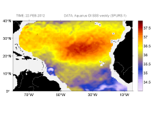 Sea surface salinity, February 22, 2012