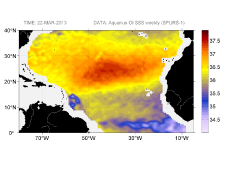 Sea surface salinity, March 22, 2013