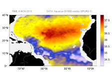 Sea surface salinity, November 8, 2013