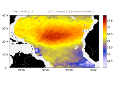 Sea surface salinity, March 1, 2014