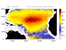 Sea surface salinity, July 12, 2014