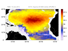Sea surface salinity, July 19, 2014