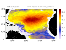 Sea surface salinity, August 23, 2014