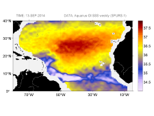 Sea surface salinity, September 13, 2014