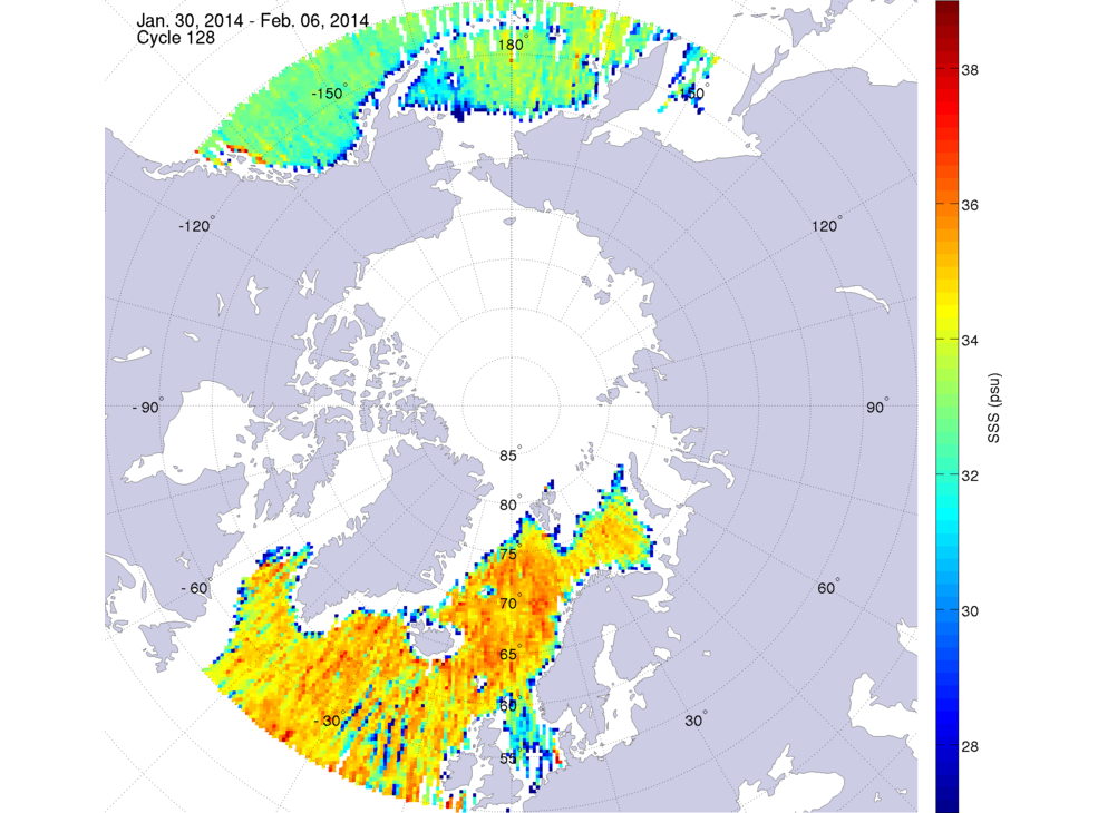 Sea surface salinity maps of the northern hemisphere ocean, week ofJanuary 30 - February 6, 2014.