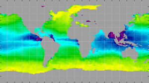 Sea surface density, May 2012