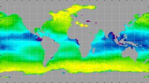 Sea surface density, January 2015