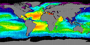 Global sea surface salinity, Summer 2011