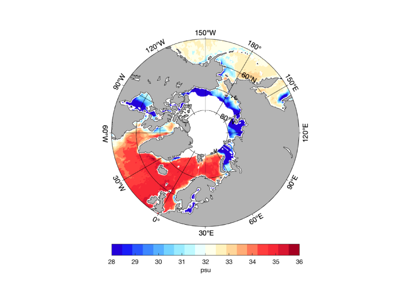 Sea surface salinity of the Arctic Ocean