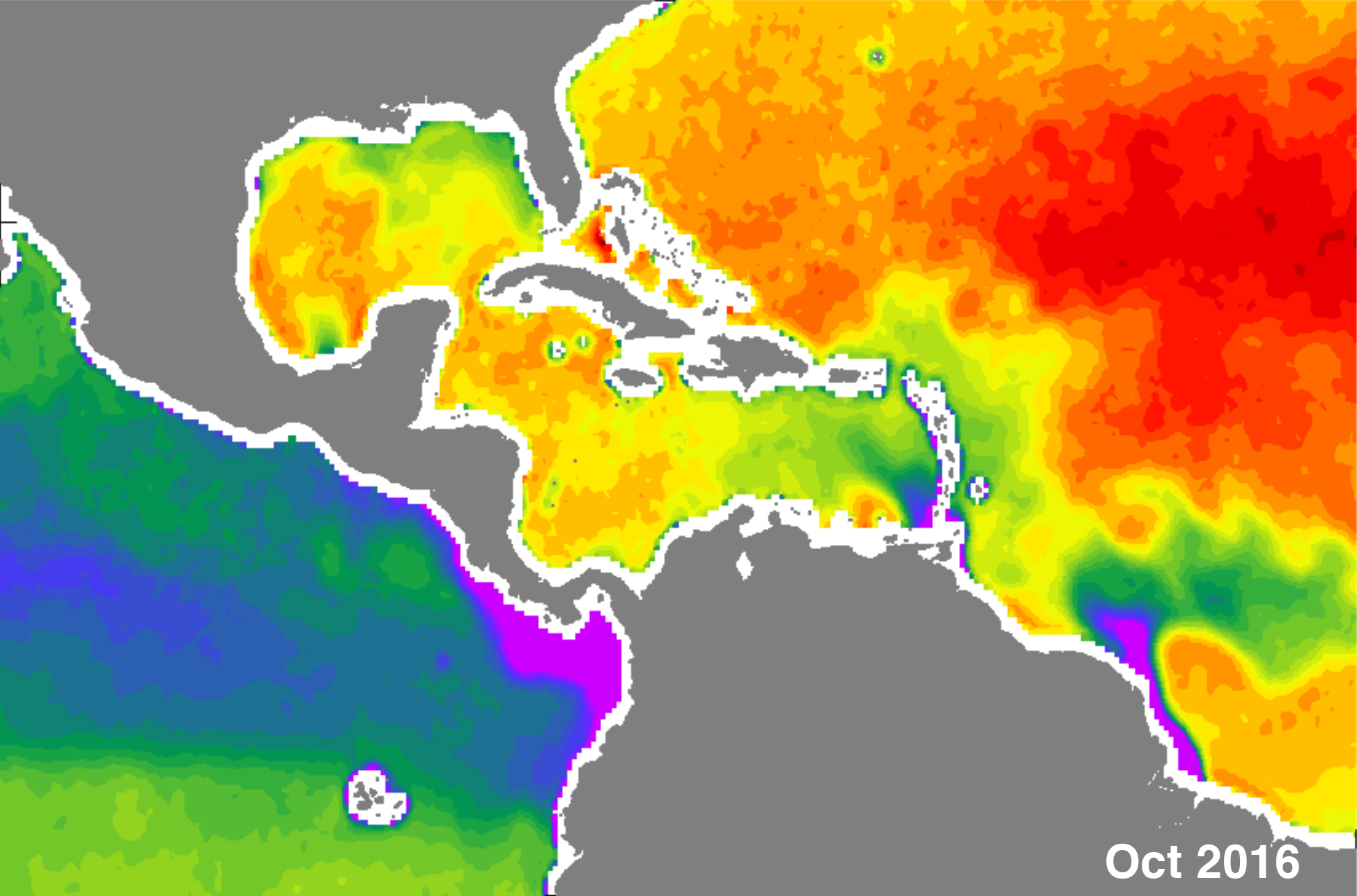 Sea surface salinity in the Gulf of Mexico