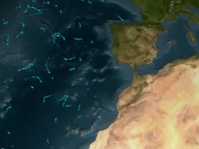 Animation showing locations of the ARGO buoy array