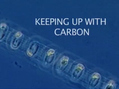Carbon dioxide molecules