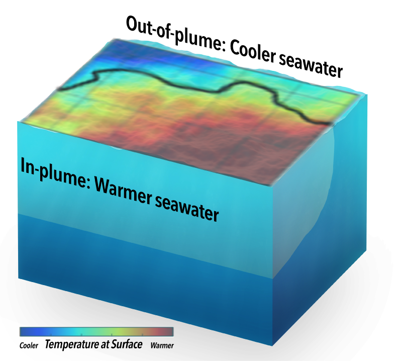 Defined by low salinity, the plume's water is warmer than average. Together, these properties help the plume "stay afloat".
