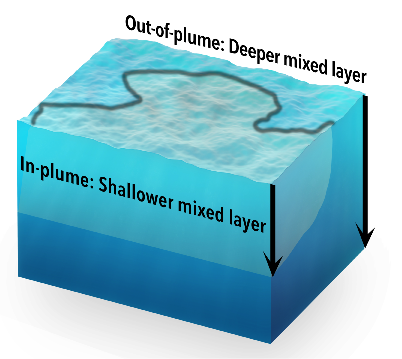 The depth of surface mixing – shown approximately in this diagram – differs between the plume and the surrounding ocean.